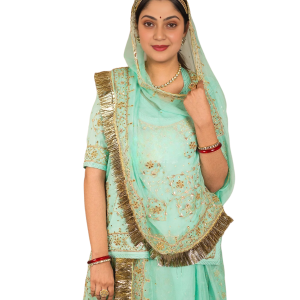 Baby Sky Blue Aari Resham Work Rajputi Poshak | Triple Handwork on Bamber Satin | Jaipurio Designer Collection